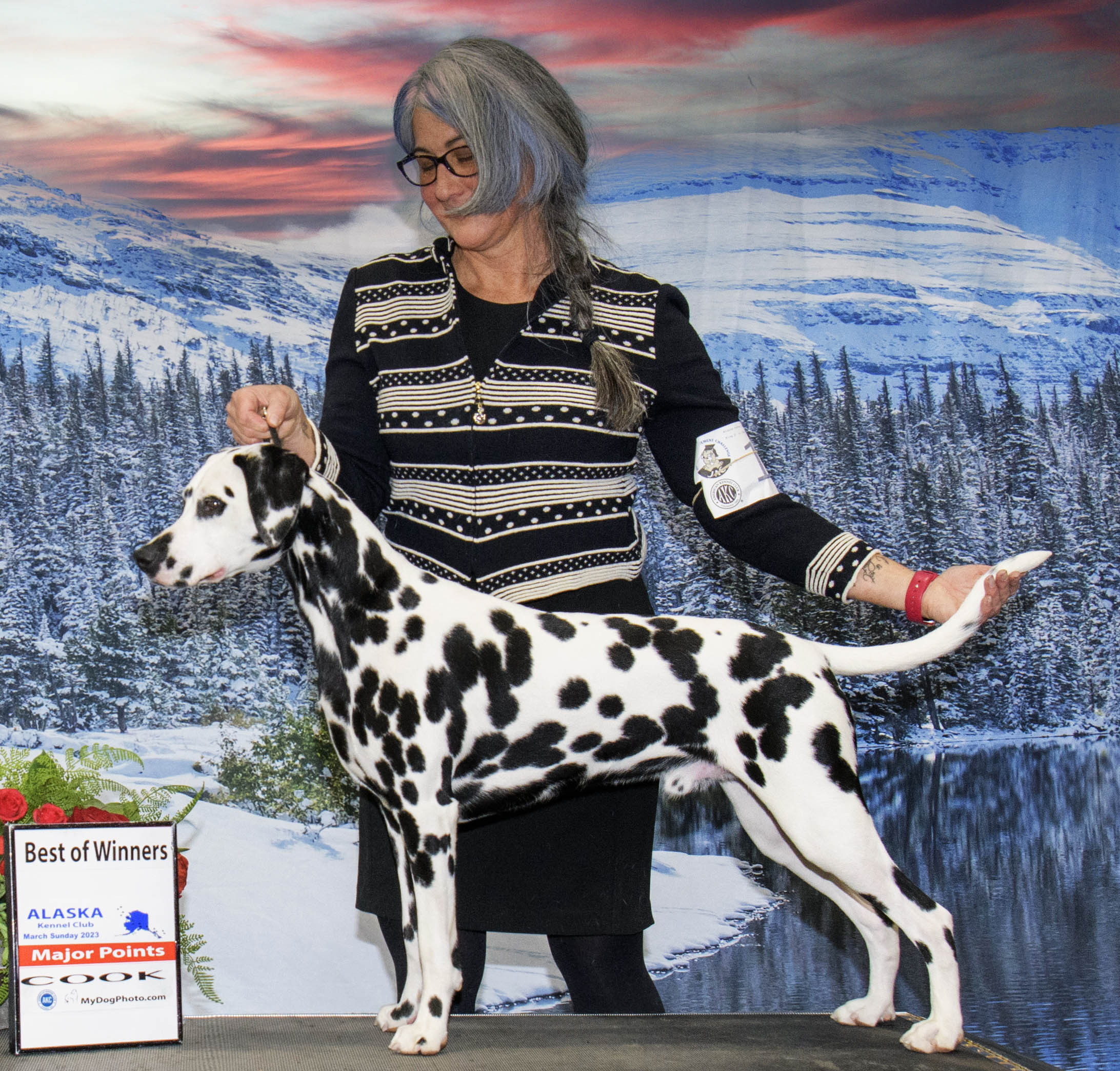 CH JLS Queen of Hearts Smart Dressed Man