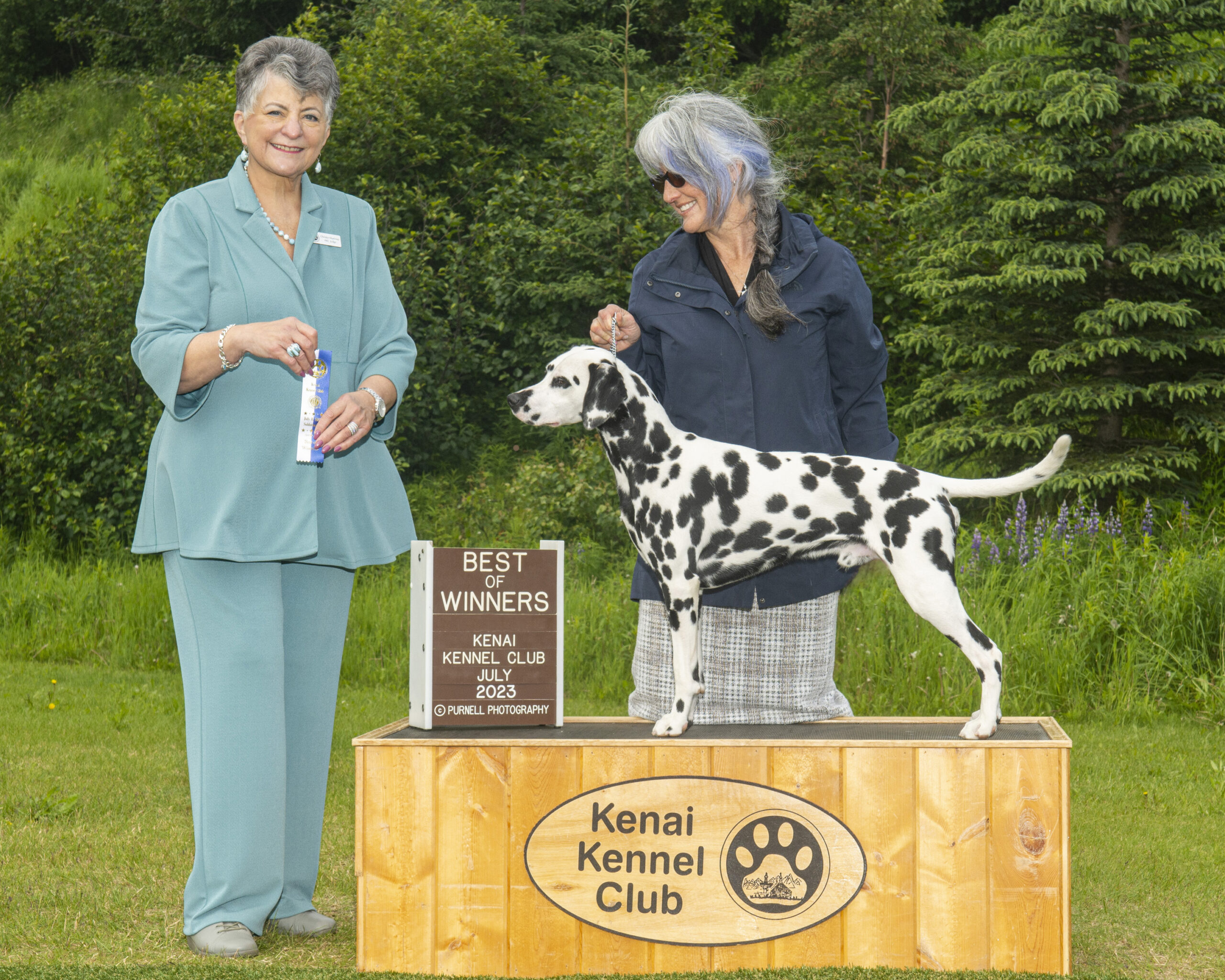 CH JLS Queen of Hearts Smart Dressed Man