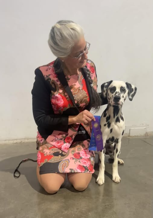 WB – Rose City Classic