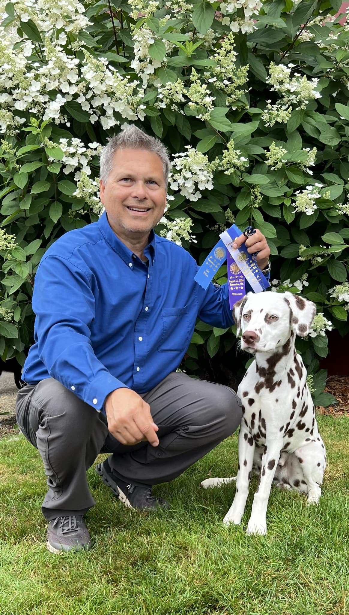 WD/BOW- 3 Point Major