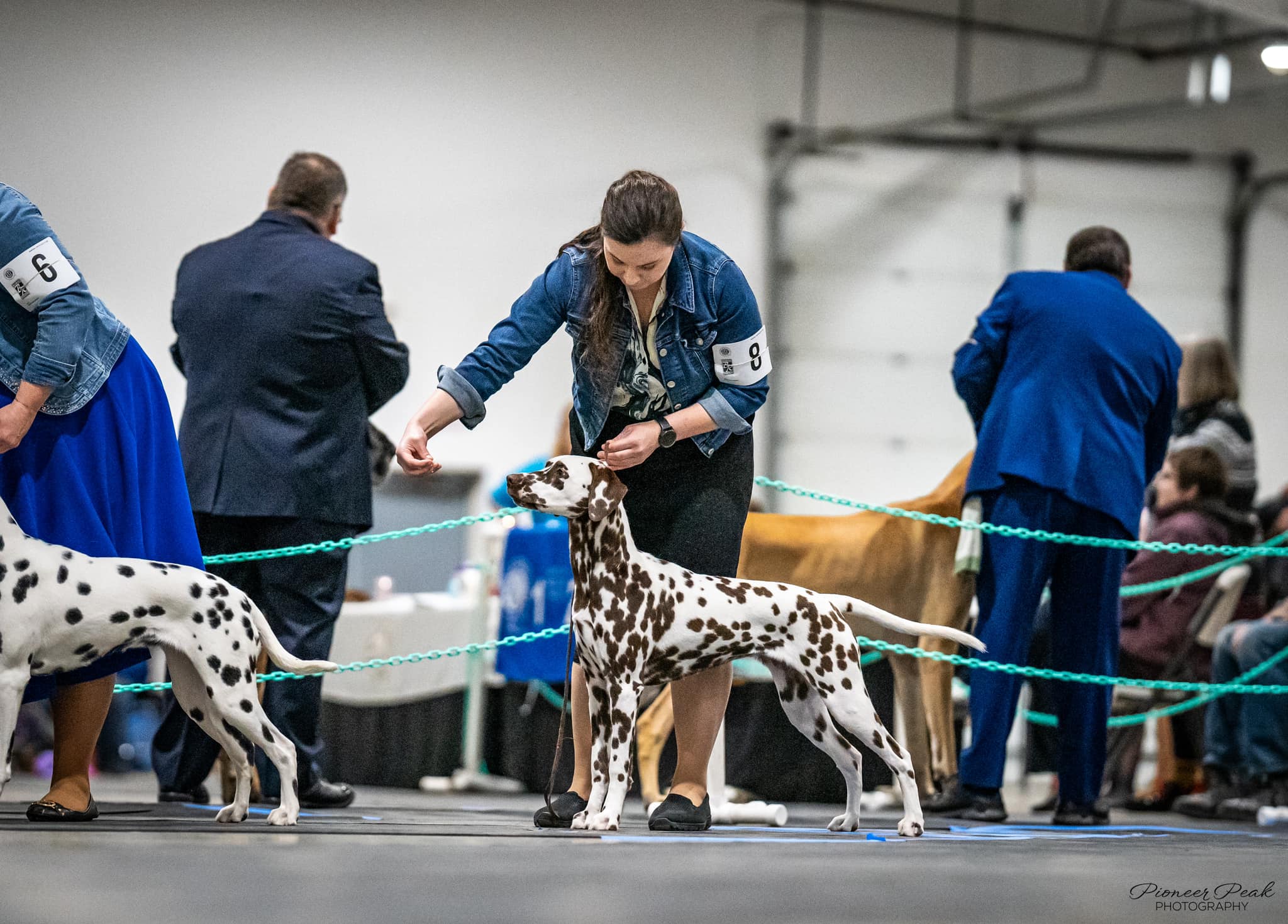 WB Cook Inlet – Nov 2024