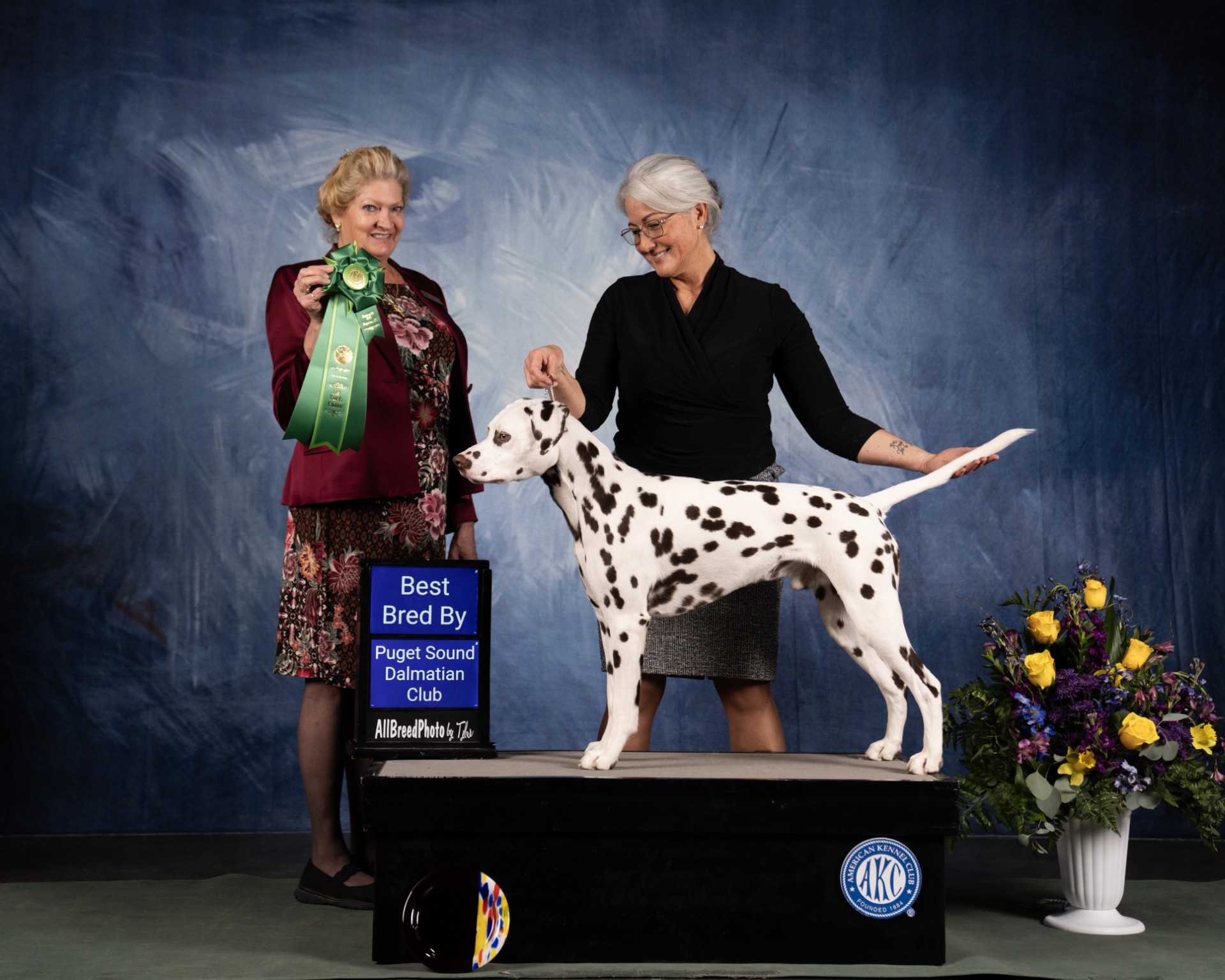 Puget Sound Dalmatian Club Specialty I – Jan 2025