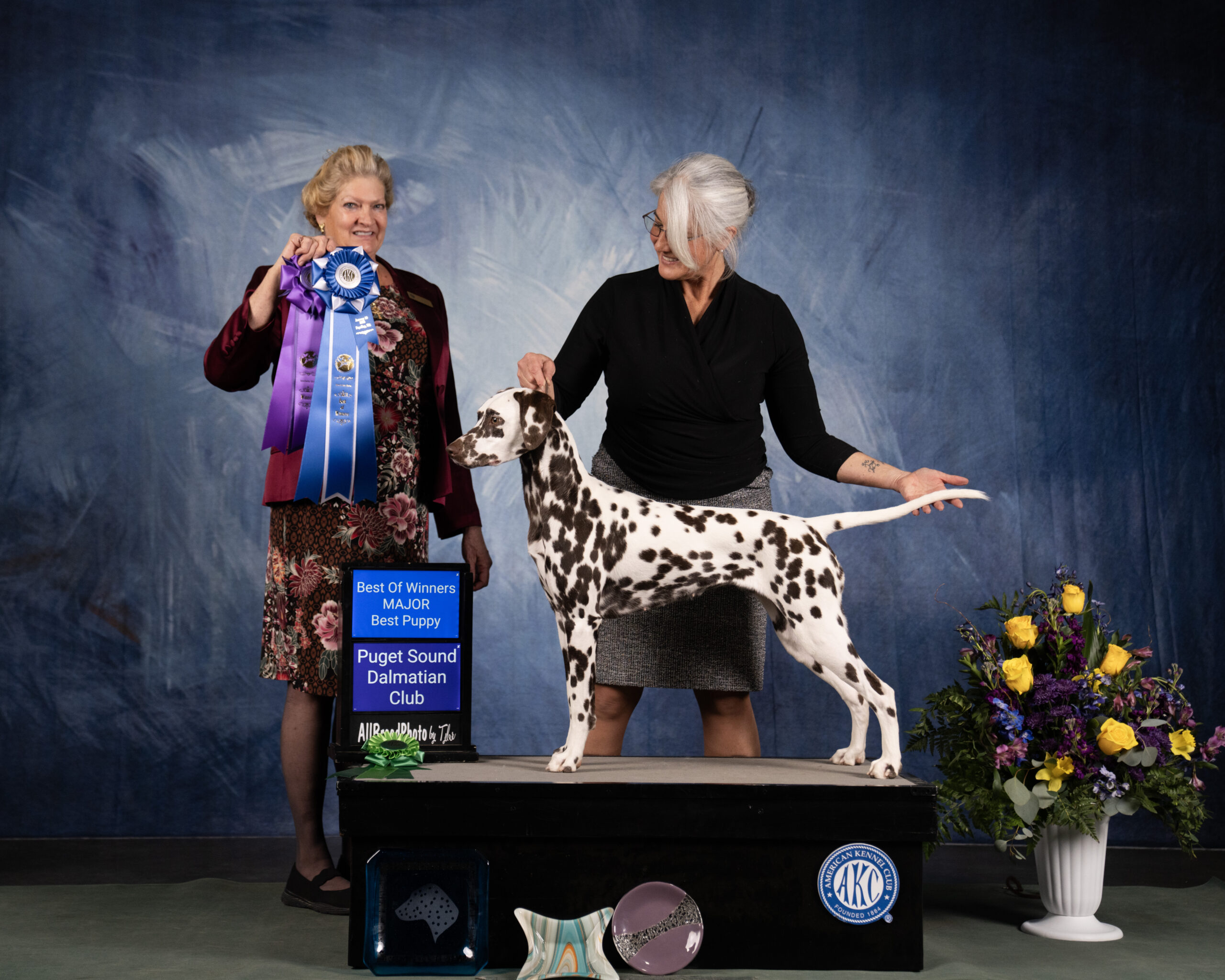 Puget Sound Dalmatian Club Specialty I – Jan 2025