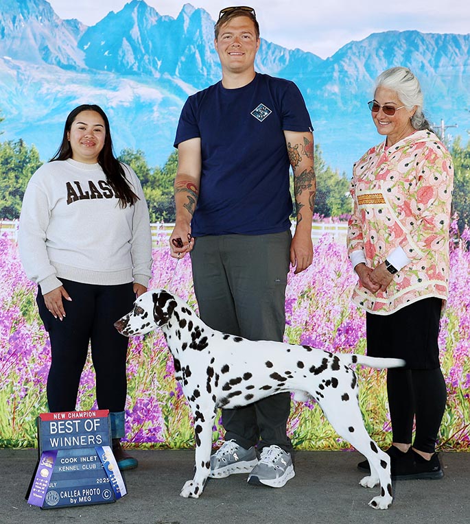 Remi’s 1st Point WD/BOW Cook Inlet Kennel Club