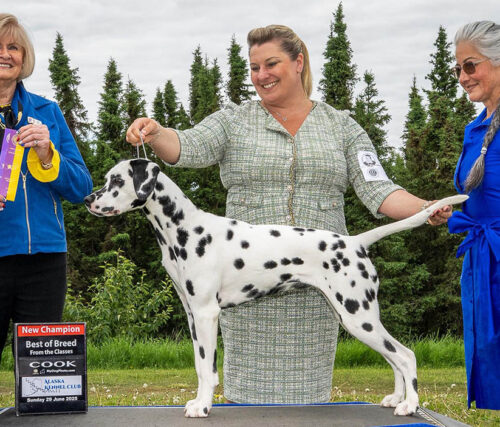 HopeNewCH-BOB-6-29-2025-web-1