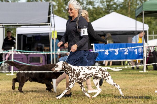 Best of Breed/OH Best of Breed/OH Group 3