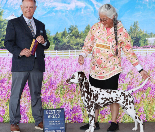 MystiqueBOBJuly2025-web