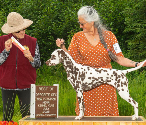 MystiqueNewCH7-11-2025-web