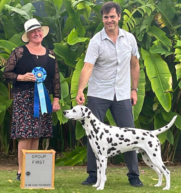 CH Queen of Hearts JLS The Real McCoy CGC TKN STR (L)