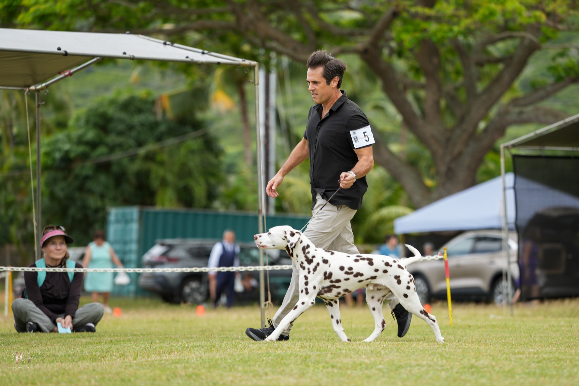 CH Queen of Hearts JLS The Real McCoy CGC TKN STR (L)