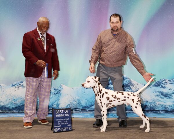 CH Queen of Hearts JLS The Real McCoy CGC TKN STR (L)