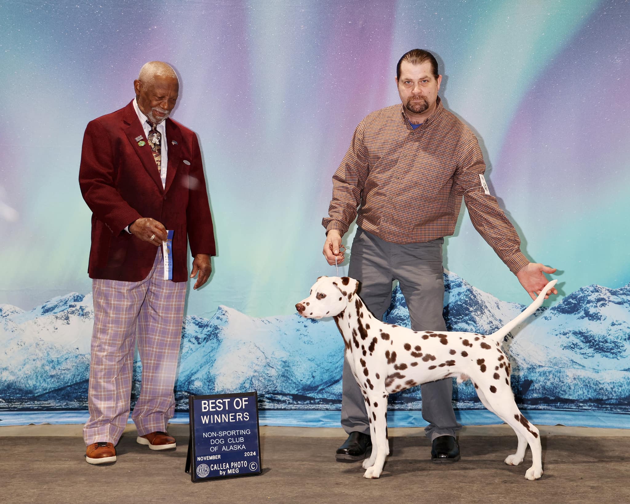 CH Queen of Hearts JLS The Real McCoy CGC TKN STR (L)