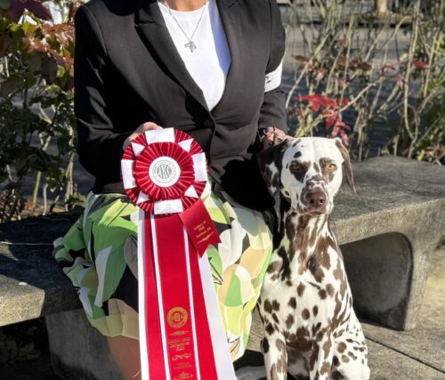 MtHoodBOS-Spedacci-5ptMjrnewGCH